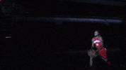 nicholls GIF by GeauxColonels