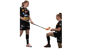 Floorball Salibandy Sticker by F-liiga