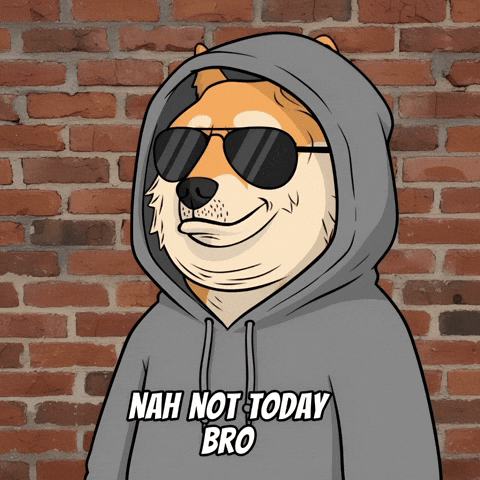 Shiba Inu No GIF by Doge Pound