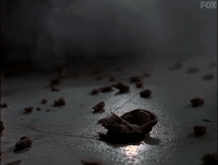 x files GIF by The X-Files