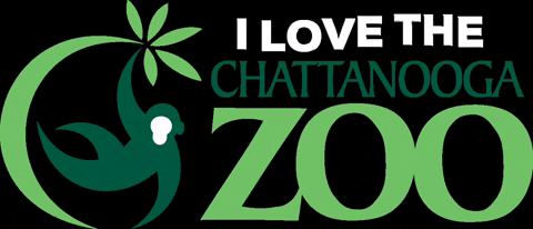 chattanoogazoo giphygifmaker zoo chattanooga chattzoo GIF