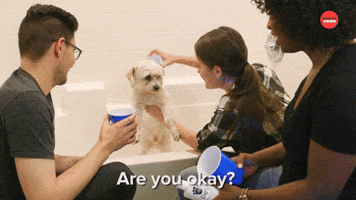 Are You Okay?