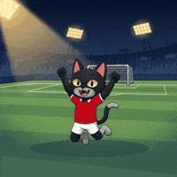 Lets Go Omg GIF by CATBAT