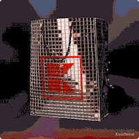 Happy Dance GIF by Kaufland