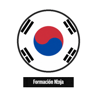 South Korea Flag Sticker by Formación Ninja