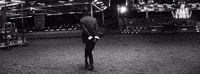 the 1975 GIF by Interscope Records
