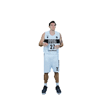 Basketball Basket Sticker by PBC Runa-basket