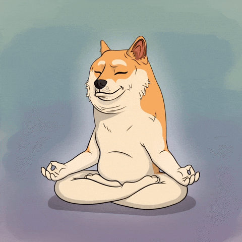 Meditating Shiba Inu GIF by Doge Pound