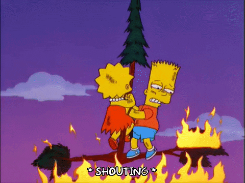homer simpson GIF