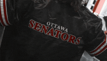 Ottawa Senators GIF by StittsvilleOnPatrol