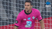 Football Soccer GIF by MolaTV