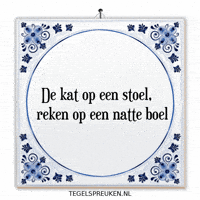 Nl Kat GIF by Tegelspreuken.nl