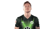 Wout Weghorst Sticker Sticker by VfL Wolfsburg