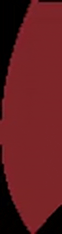 monsakbags red shape leather leer GIF