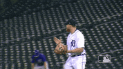 Excited Major League Baseball GIF by Detroit Tigers