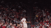 Ncaa Basketball GIF by Arkansas Razorbacks