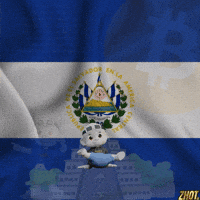 El Salvador Bukele GIF by Zhot