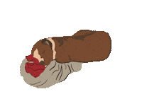 Dog Sleeping Sticker