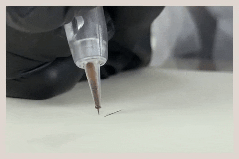 aylincetinkaya giphygifmaker pmu permanentmakeup micropigmentation GIF