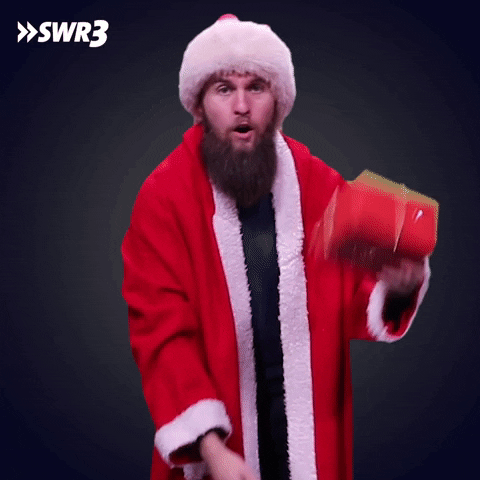 Merry Christmas GIF by SWR3