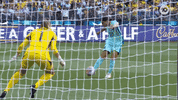 Sport Soccer GIF by Football Australia