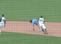 tincaps baseball slide fort wayne tincaps GIF