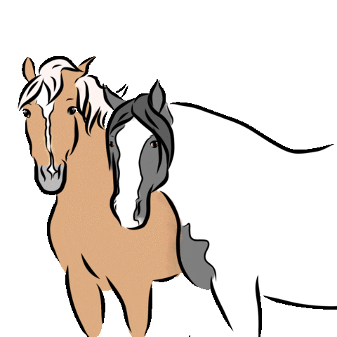 haflingersteve horse pony paard tinker Sticker
