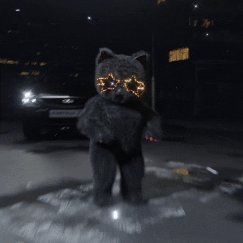 purrfreak giphyupload dance cat kitty GIF