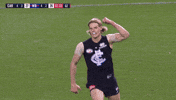 Carlton Fc GIF by Carlton Football Club