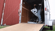 Tree Carrying GIF by JC Property Professionals