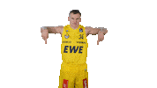 Ewe Baskets Basketball Sticker by EWE Baskets Oldenburg