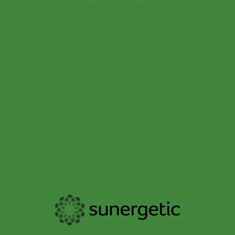 Suner GIF by Sunergetic