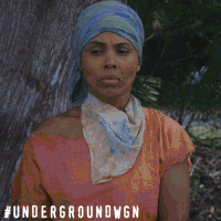 wgn america drama GIF by Underground