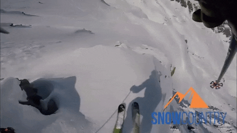 Snowcountry giphyupload snow ski powder GIF