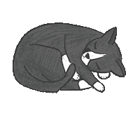 Tom Cat Sticker