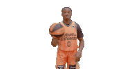 Bouncing Liga Endesa Sticker by ACB