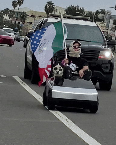 Freedom Of Speech Police GIF by SWAGGY WOLFDOG