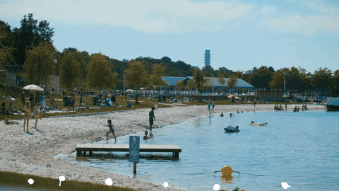 Funbeachpanheel giphyupload GIF