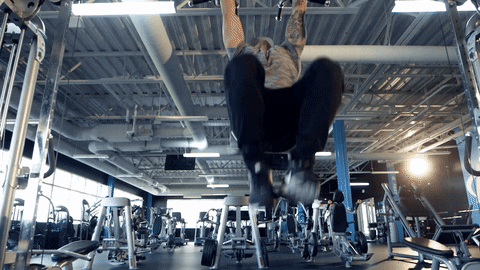 GIF by Bodybuilding.com