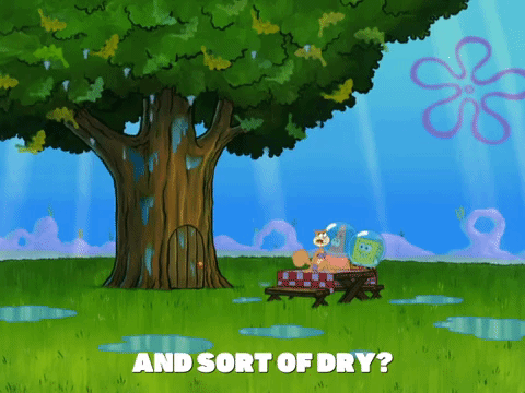 season 8 bubble troubles GIF by SpongeBob SquarePants