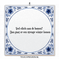 Winter Nl GIF by Tegelspreuken.nl