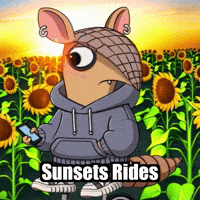 Cycling Armadillo GIF by Chillo Dillo