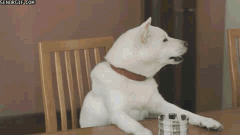 tommy lee jones dog GIF by Cheezburger
