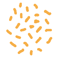 Cheese Pizzatopping Sticker by Jet's Pizza