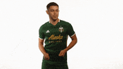 Portland Timbers GIF by Timbers