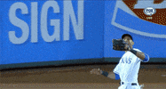 head alex GIF