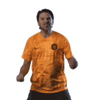 HuisVanOranje voetbal nederland holland oranje Sticker