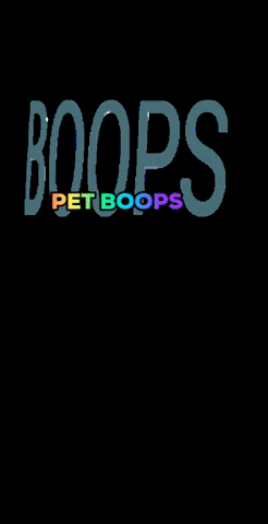 Maboophayph giphygifmaker pets boop dogsofinsta GIF