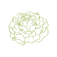 Alpha Chi Sticker by Alpha Chi Omega HQ