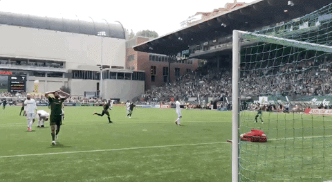 portland timbers disbelief GIF by Timbers